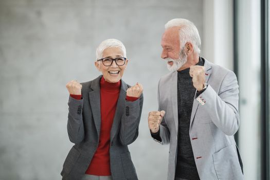 Portrait of a two smiling successful senior business people raising their fists while standing in a modern office.