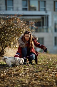 An attractive woman playing with her cute Shih Tzu dog at the park.
