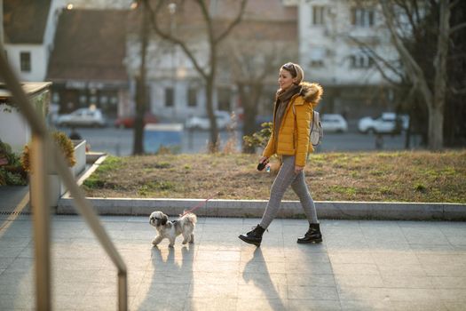 An attractive woman walking with her cute Shih Tzu dog by the city street.