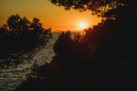 Silhouette of a pine trees against the sunset over the Mediterranean sea coast.