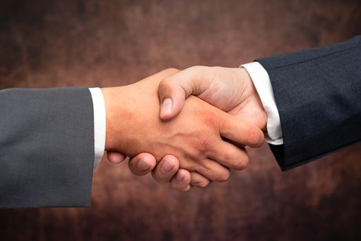 Two Professional Well-Dressed Corporate Businessmen Handshake Indoors