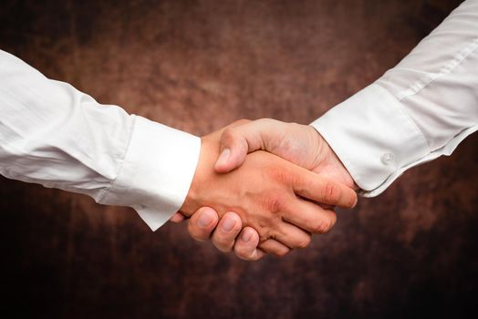 Two Professional Well-Dressed Corporate Businessmen Handshake Indoors