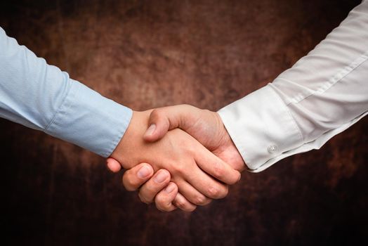 Two Professional Well-Dressed Corporate Businessmen Handshake Indoors