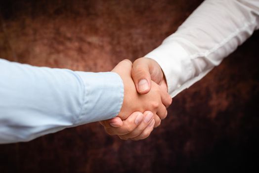 Two Professional Well-Dressed Corporate Businessmen Handshake Indoors