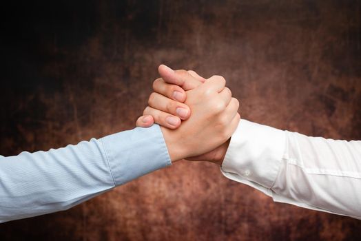 Two Professional Well-Dressed Corporate Businessmen Handshake Indoors