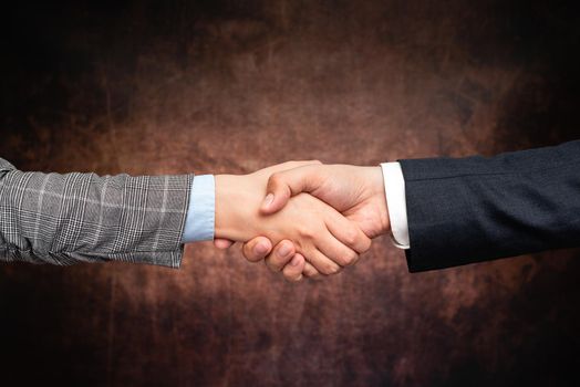 Two Professional Well-Dressed Corporate Businessmen Handshake Indoors