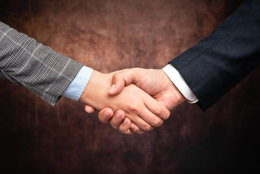 Two Professional Well-Dressed Corporate Businessmen Handshake Indoors