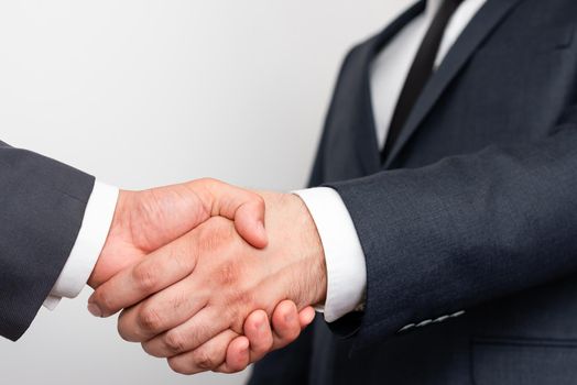 Two Professional Well-Dressed Corporate Businessmen Handshake Indoors