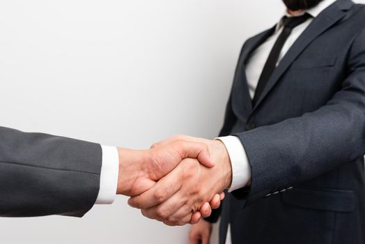 Two Professional Well-Dressed Corporate Businessmen Handshake Indoors