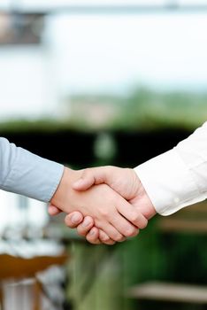 Two Professional Well-Dressed Corporate Businessmen Handshake Indoors