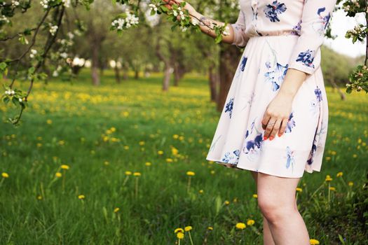 Close-up photo - girl in a sunny summer garden