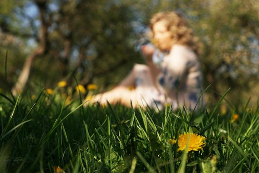 Cute woman rest in the green summer park with dandelions - focus on flower in grass