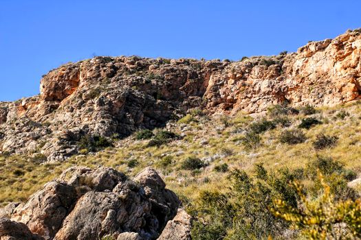 Mediterranean Vegetation and cliffs in Alicante coast, Spain