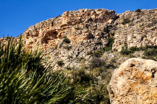 Mediterranean Vegetation and cliffs in Alicante coast, Spain