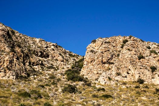 Vegetation in cliffs of the Alicante coast