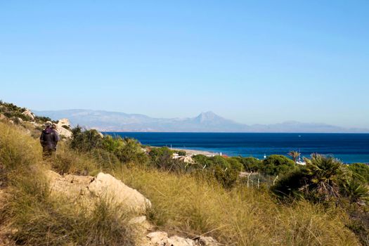 Vegetation in cliffs of the Alicante coast