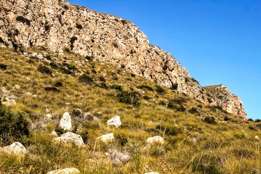 Vegetation in cliffs of the Alicante coast