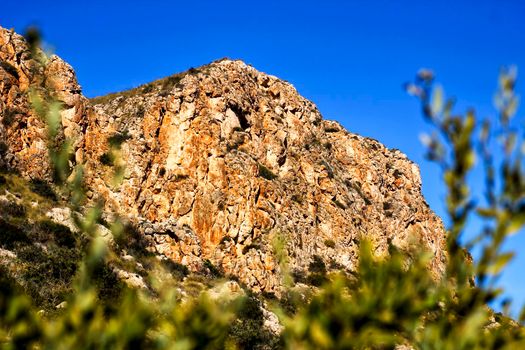 Vegetation in cliffs of the Alicante coast