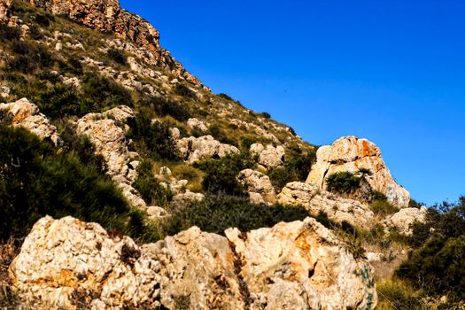 Vegetation in cliffs of the Alicante coast