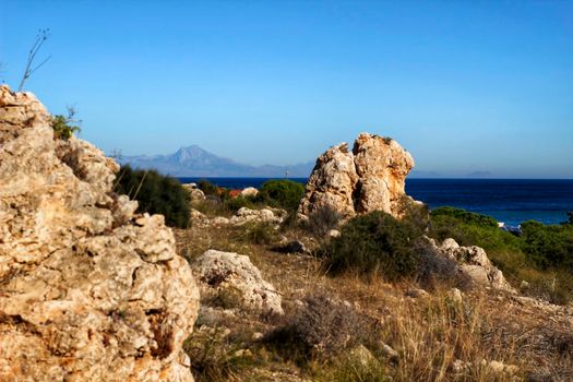 Green Landscape in southern Spain on the beach. Alicante coast.