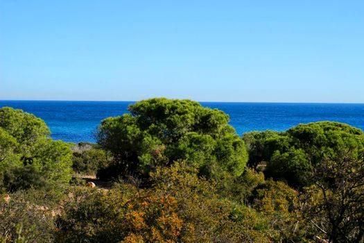 Green Landscape in southern Spain on the beach. Alicante coast.