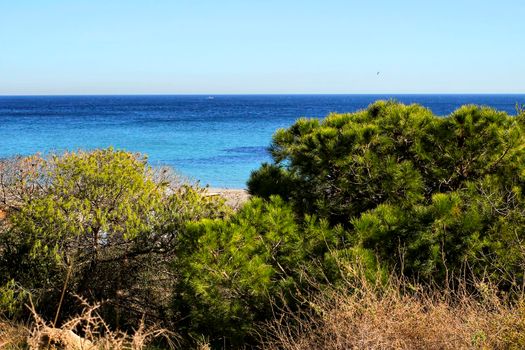 Green Landscape in southern Spain on the beach. Alicante coast.