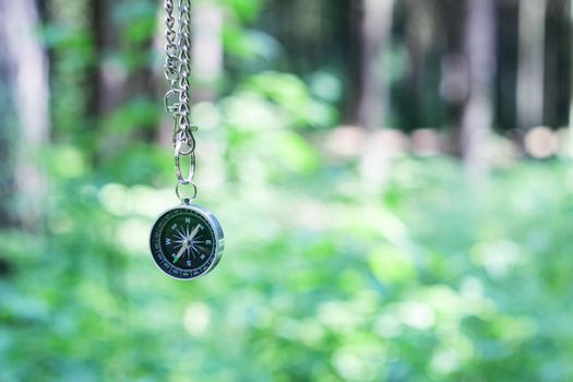 Compass on the background of greenery in the forest, copy space