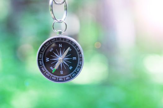 Compass on the background of greenery in the forest, copy space