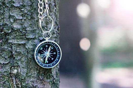 Compass on the background of greenery in the forest, copy space