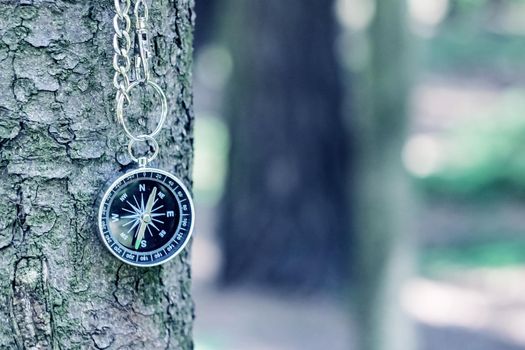 Compass on the background of greenery in the forest, copy space