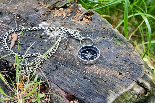 Compass on a stump in the summer forest close up