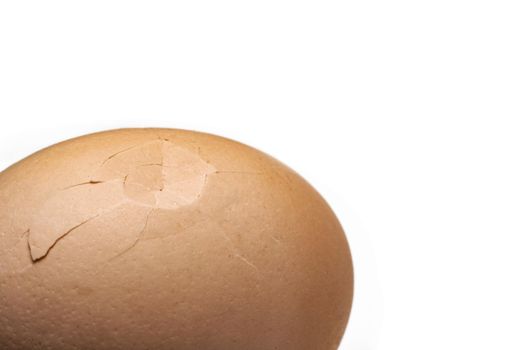 Chicken egg with cracked shell close up with copy space