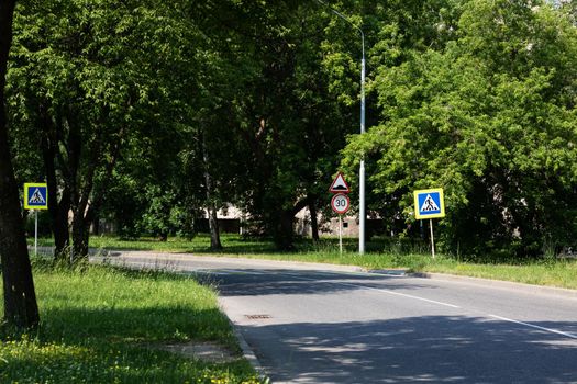 Sign of the pedestrian crossing on the road among the green forest in summer, landscape