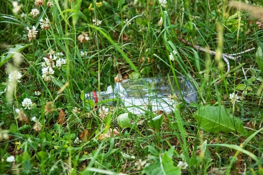 Glass bottle of alcohol lying on the grass, environmental pollution