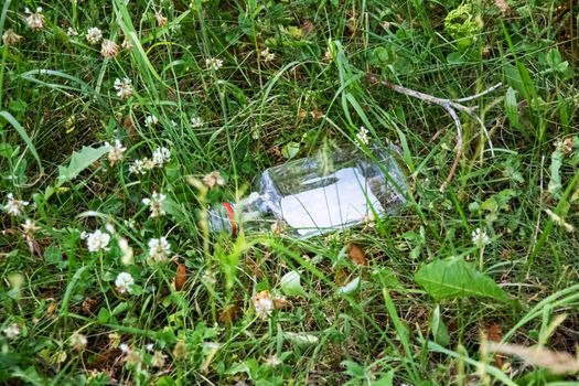 Glass bottle of alcohol lying on the grass, environmental pollution