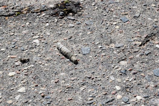 Gray caterpillar crawling on the asphalt close up, macro photo