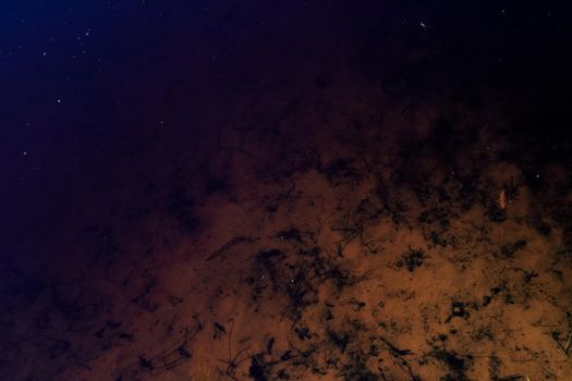 Sandy bottom of the pond abstract background and texture