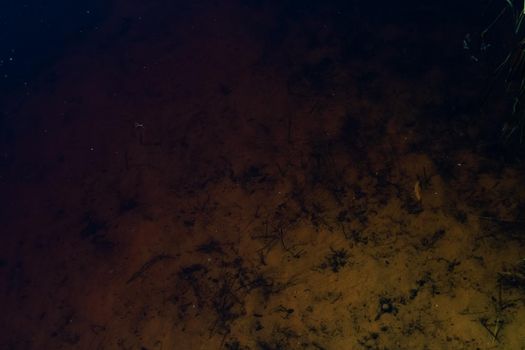 Sandy bottom of the pond abstract background and texture