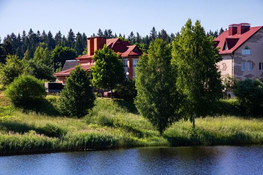 Trees, vegetation and houses on the shore of the pond in the village