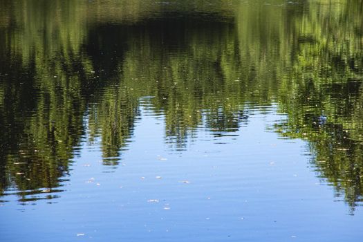 Reflection of green trees on the water surface, background