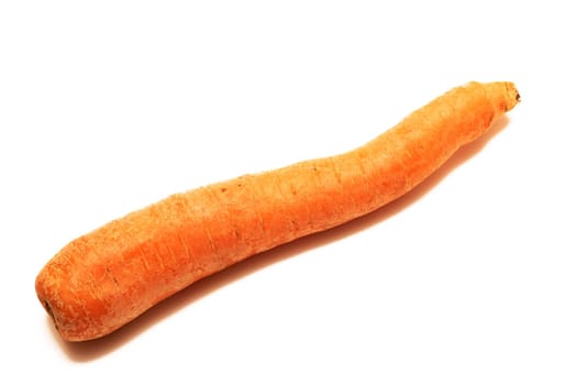 One fresh carrot closeup isolated on white background