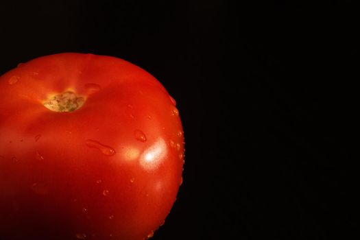 Red tomato with water drops on a dark background, copy space