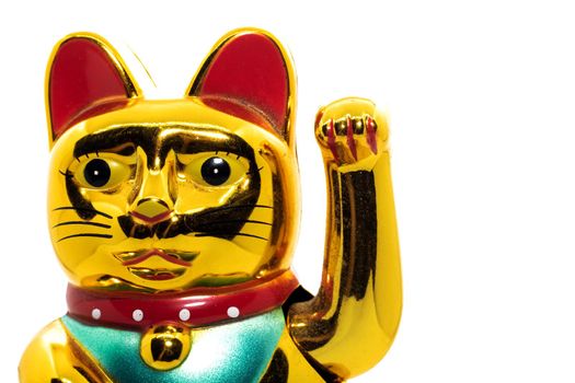 Chinese cat calling for luck close up, isolated on white background