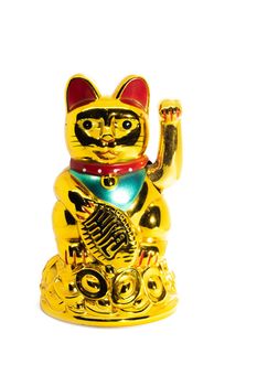 Chinese cat calling for luck close up, isolated on white background