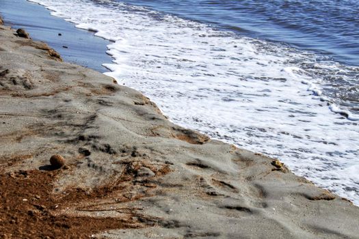 Oceanic Posidonia remains on the shore after the storm in Santa Pola, Spain