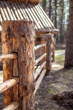 Large wooden fence posts that enclose an old wooden house in the forest. How people built houses and fences in the past. Ecological construction and materials.