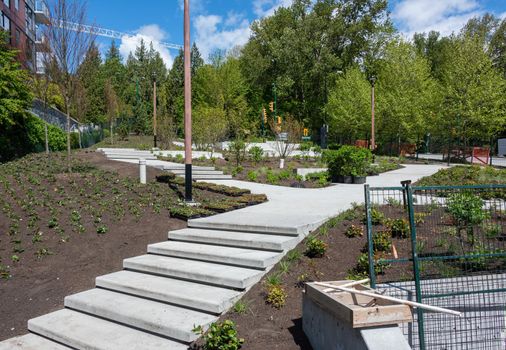 Brand new concrete pathway with stairs in residential area.