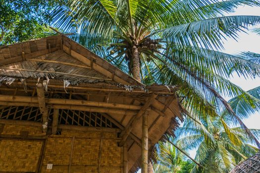 Tropical Bungalows made from Bamboo