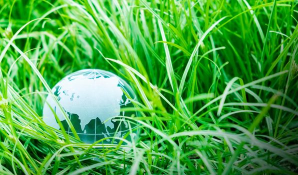 Earth day concept of globe on green grass with copy space