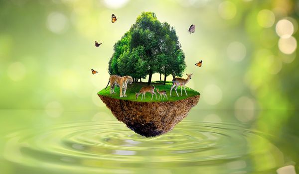 Concept Nature reserve conserve Wildlife reserve tiger Deer Global warming Food Loaf Ecology Human hands protecting the wild and wild animals tigers deer, trees in the background Sun light